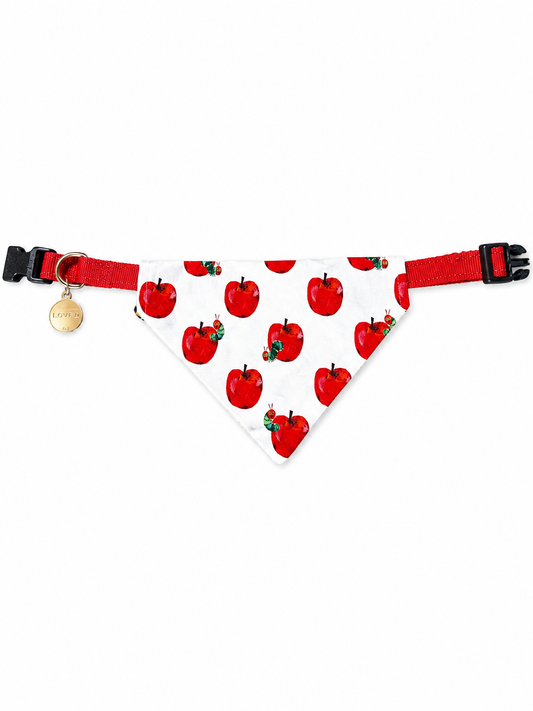 Reversable Through the Collar Dog Bandana