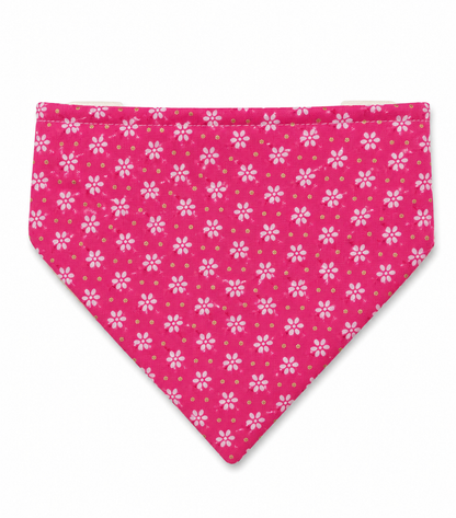 Stretchy Dog Bandanas