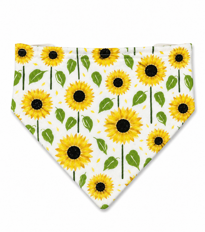 Reversable Dog Bandana